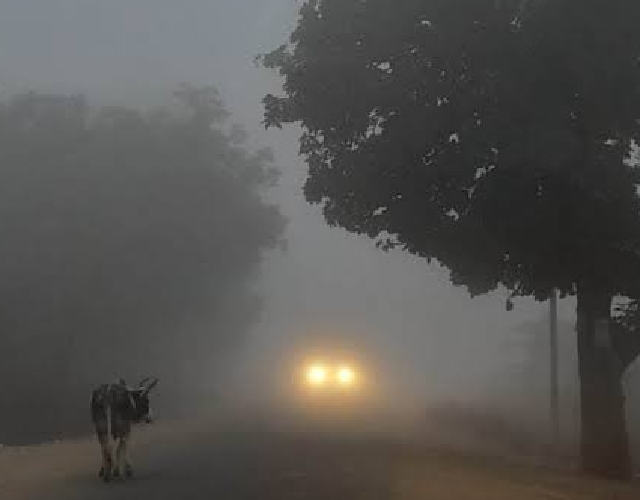  बंगाल में ठंड के साथ ही कोहरा बना मुश्किल का सबब
