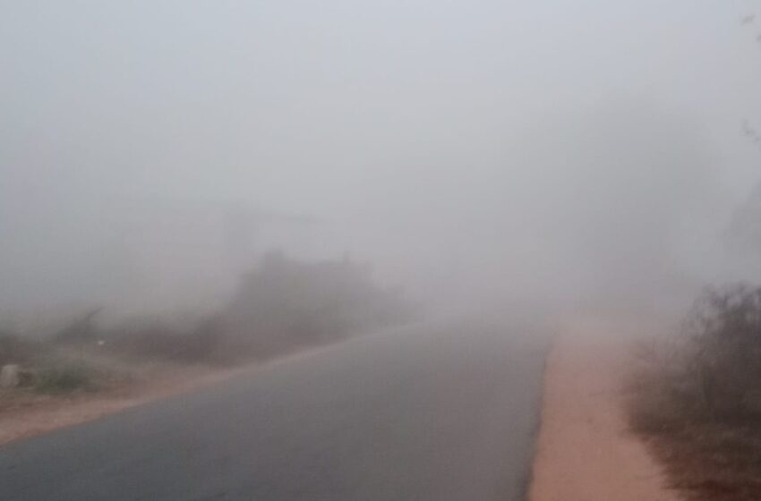  कोहरे की आगोश में अलवर, वाहनों की थमी रफ्तार
