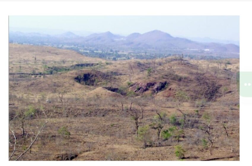  राजस्थान की धरा उगलेगी सोना