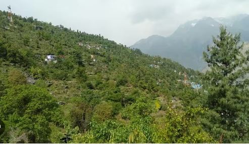  मौसम की मार… पाला पहुंचाएगा नुकसान तो आकाशीय बिजली से जान-माल की हानि के आसार