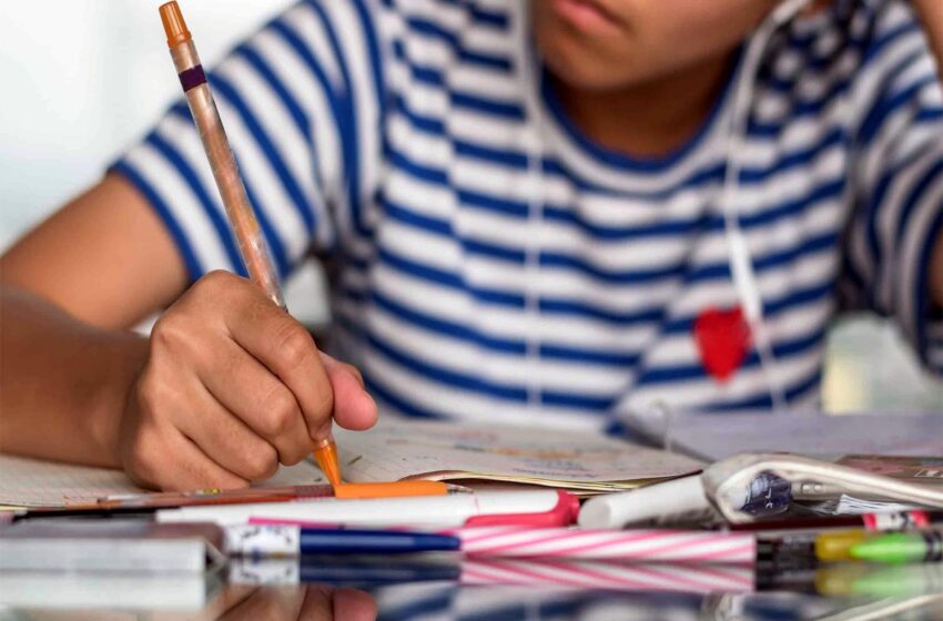  फरीदाबाद: होमवर्क भी बना कारोबार, प्राथमिक क्लास के बच्चों को दिया जा रहा प्रोफेशनल होमवर्क