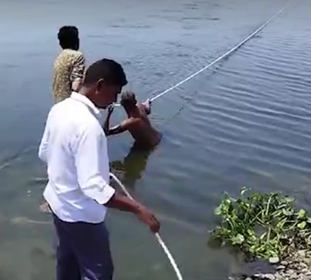  गुजरात में नदी में डूबने की 4 दिन में तीसरी घटना, 3 और डूबे
