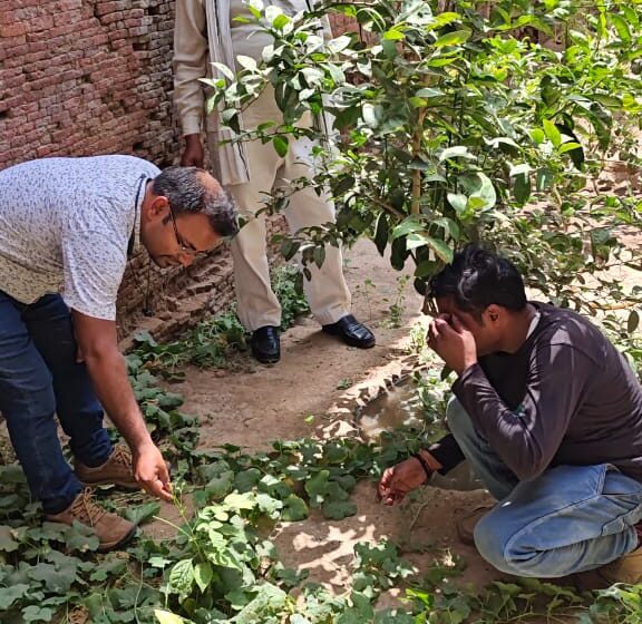  जहां चाह वहां राह, सूरज की गर्मी को कर दिया धीमा