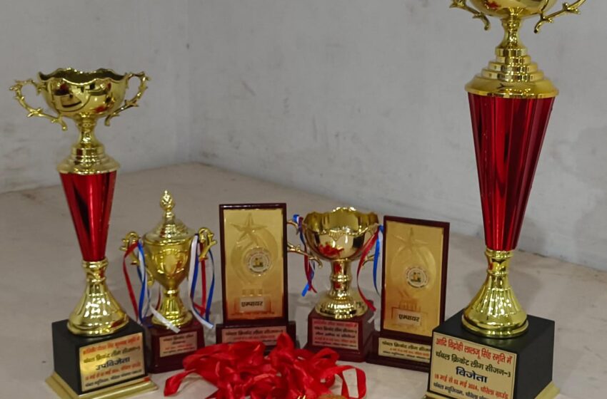  चंबल क्रिकेट लीग सीजन-3 के फाइनल मैच के लिए तय हो गईं टीमें, रोमांचक रहे सेमीफाइनल मुकाबले