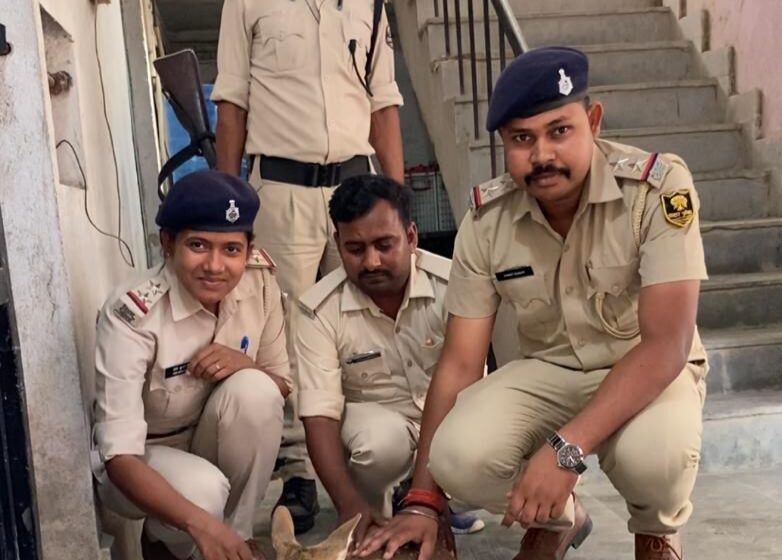  मोतिहारी पुलिस ने चटिया दियर से हिरण किया बरामद