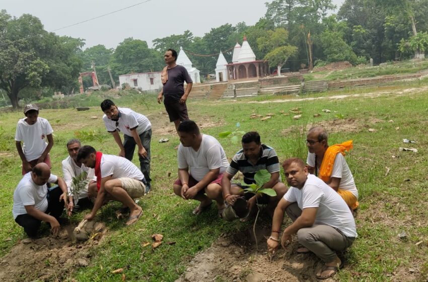  आजाद युवा विचार मंच का मानसून सत्र में दस हजार वृक्षारोपण का लक्ष्य : शैलेश झा