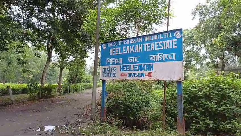  पत्नी ने पति का सिर धड़ से किया अलग