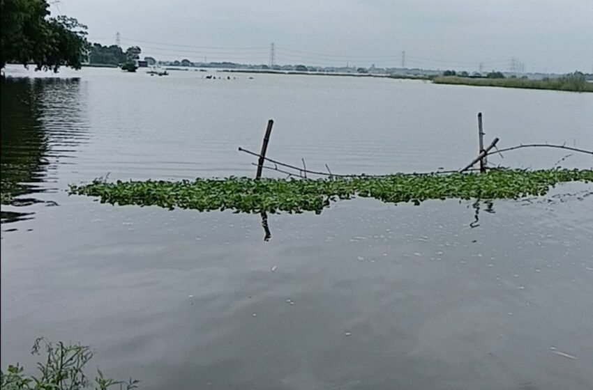  लखनऊ में गोमती नदी की बाढ़ से 12 गांव डूबे: बीकेटी-इटौंजा में तबाही, फसलें बर्बाद, बच्चे घरों में कैद