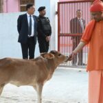 महाशिवरात्रि पर भावुक मंजर: सीएम योगी ने ‘भोलू’ पुकारा, बछड़ा दौड़कर आया; गोशाला में गोसेवा, बच्चों को गोद में लेकर कराया अन्नप्राशन