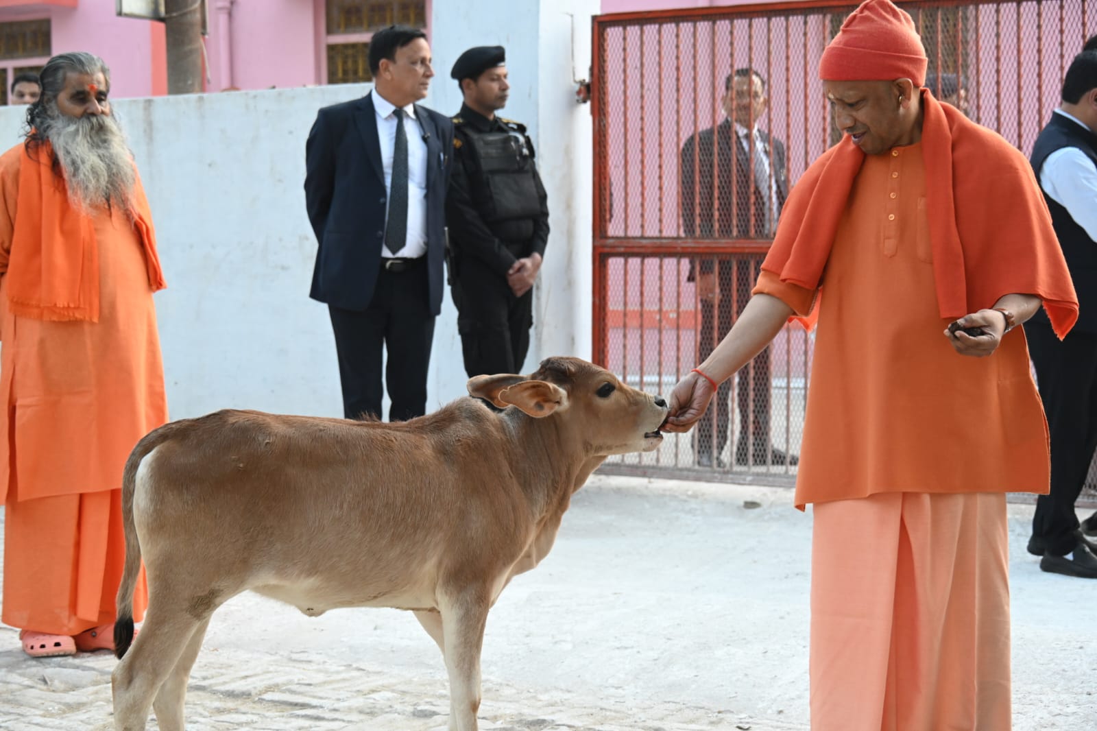 महाशिवरात्रि पर भावुक मंजर: सीएम योगी ने ‘भोलू’ पुकारा, बछड़ा दौड़कर आया; गोशाला में गोसेवा, बच्चों को गोद में लेकर कराया अन्नप्राशन