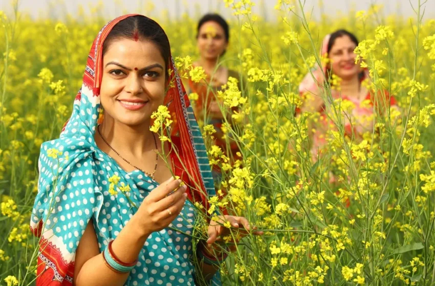  बजट 2026-27: ग्रामीण महिलाओं की आर्थिक ताकत बढ़ाने के लिए ‘SHE-Marts’ योजना लॉन्च, लखपति दीदी को मिलेगा नया बाजार