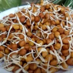 अंकुरित चना: सेहत और वजन घटाने के लिए बेहतरीन प्रोटीन स्रोत