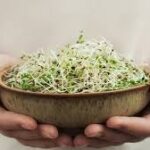 रोज सुबह अंकुरित मूंग खाने के फायदे: सेहत के लिए सस्ता और असरदार सुपरफूड