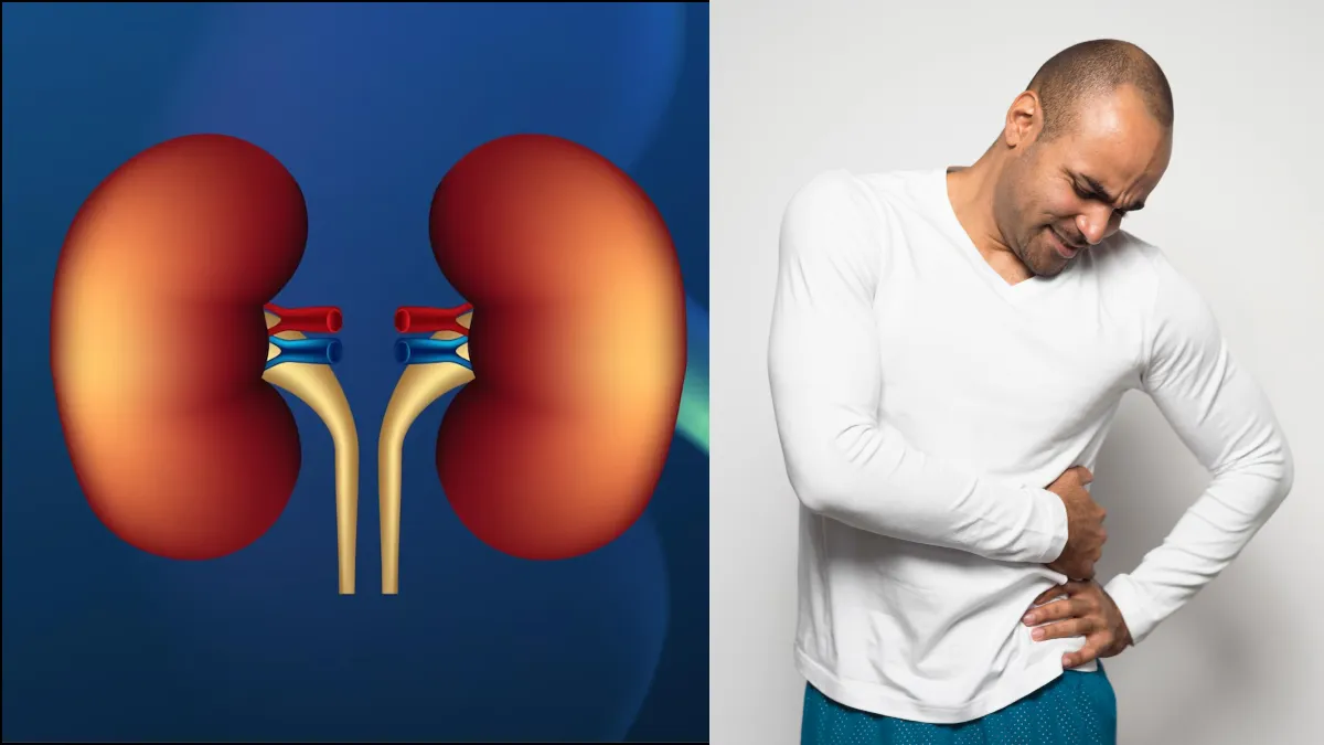 किडनी को स्वस्थ और साफ रखने के आसान घरेलू उपाय, जानिए क्या खाएं और क्या पिएं