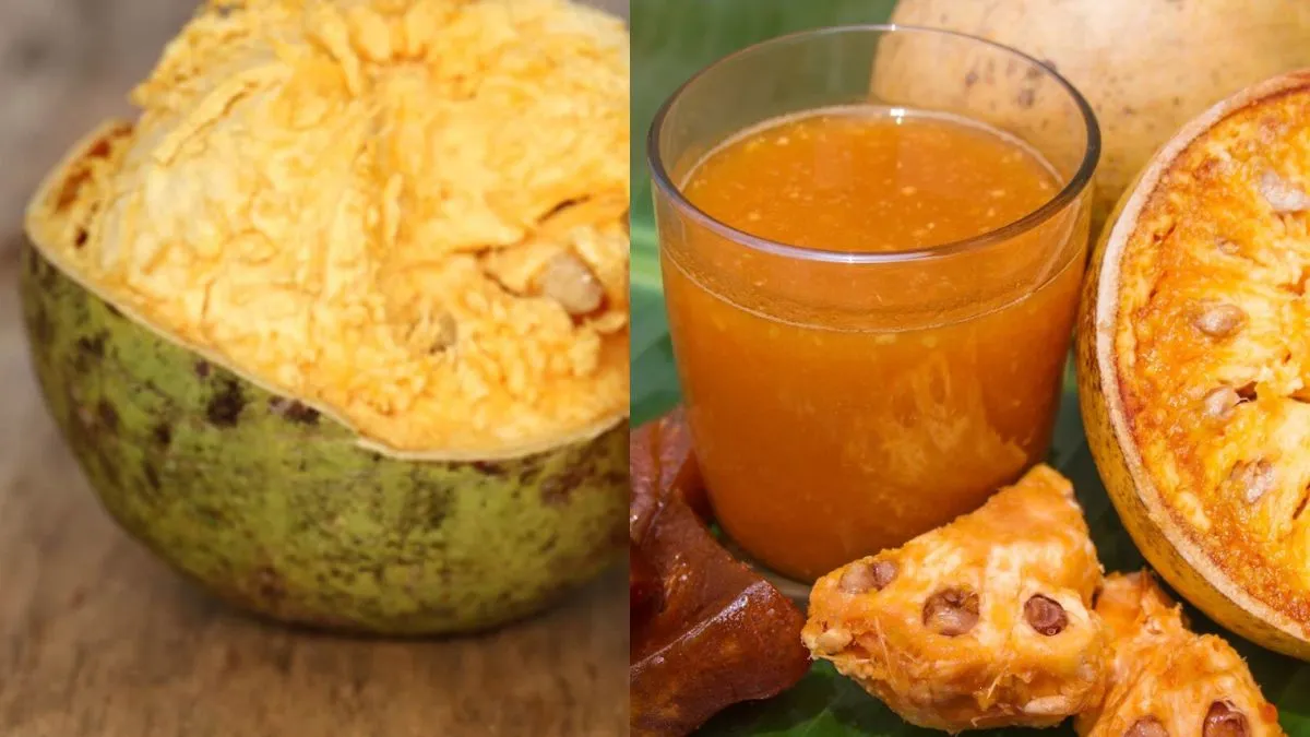 गर्मी में अमृत से कम नहीं बेल का शरबत, रोज पीने से मिलते हैं ये 4 बड़े फायदे