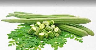 गर्मियों में ‘सहजन’ का कमाल: पाचन से लेकर इम्यूनिटी तक, जानिए मोरिंगा के फायदे