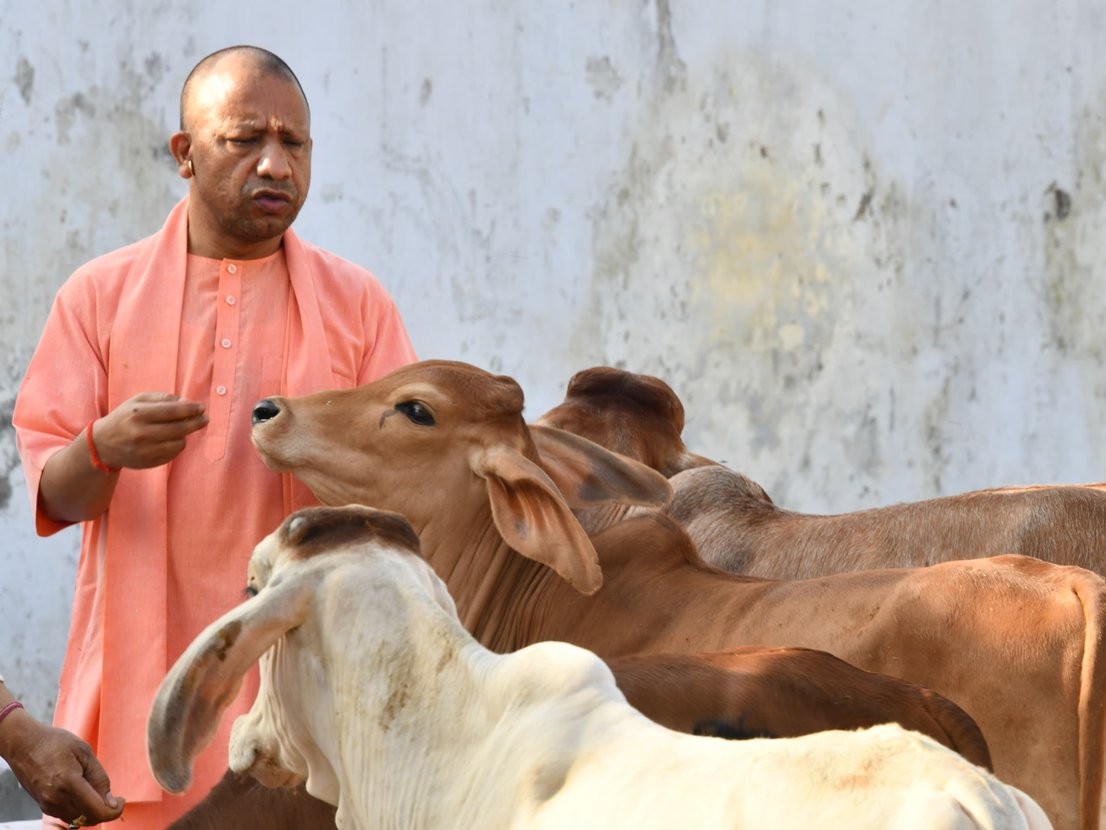 गाय को राष्ट्रीय पशु बनाने की मांग पर गरमाई बहस, योगी आदित्यनाथ बोले- ‘गौ माता को किसी घोषणा की जरूरत नहीं’