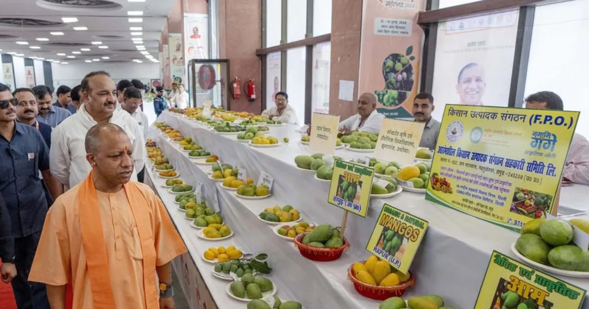 लखनऊ में आम महोत्सव का आगाज, 800 से ज्यादा किस्में प्रदर्शित; सीएम योगी ने किया उद्घाटन